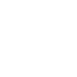 Asia Wok logo.